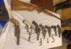 UP: Inter-state arms smuggling racket busted, 2 arrested