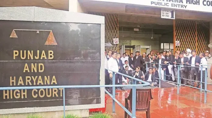 Punjab, Haryana High Court Cancels 1,112 FIRs Registered During COVID-19 Lockdown Punjab, Haryana High Court Cancels 1,112 FIRs Registered During COVID-19 Lockdown