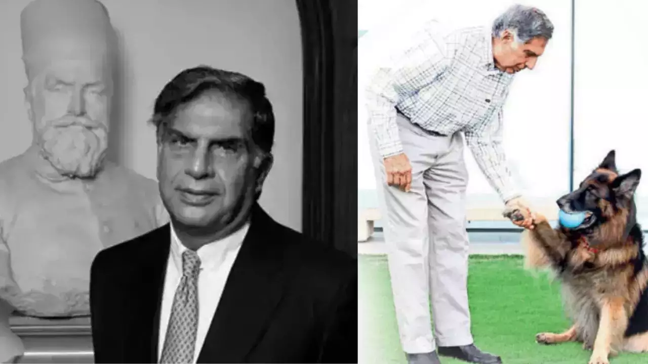 Ratan Tata's Will "Unlimited Care" For Dog Tito And Provisions For