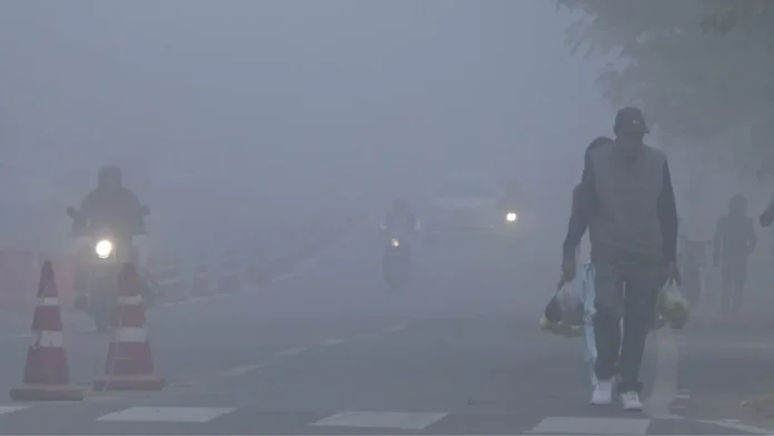 Heavy Rainfall And Severe Cold Wave Alert Across States Heavy Rainfall And Severe Cold Wave Alert Across States