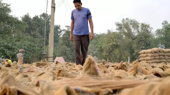 Paddy Procurement Issues Spark Widespread Farmer Unrest In 2024 Paddy Procurement Issues Spark Widespread Farmer Unrest In 2024