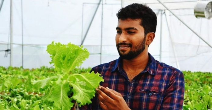 Hydroponics Farming: Sandeep Kannan’s Journey To Earning ₹54,000 Monthly Hydroponics Farming: Sandeep Kannan’s Journey To Earning ₹54,000 Monthly