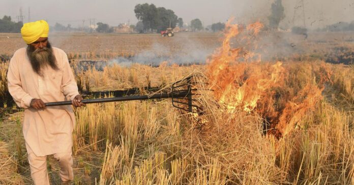 UP Launches "Parali Ke Badle Govansh Khaad" To Combat Stubble Burning And Boost Organic Farming UP Launches "Parali Ke Badle Govansh Khaad" To Combat Stubble Burning And Boost Organic Farming