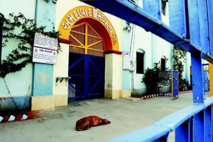 Inmate Serving Life Sentence Escapes Sabarmati Jail: Ahmedabad Police Launch Massive Hunt Underway