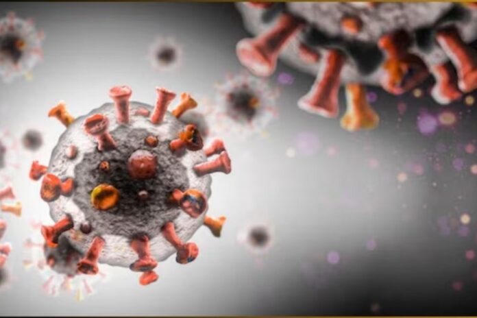 Human Metapneumovirus Case Detected In Assam: 10-Month-Old Stable